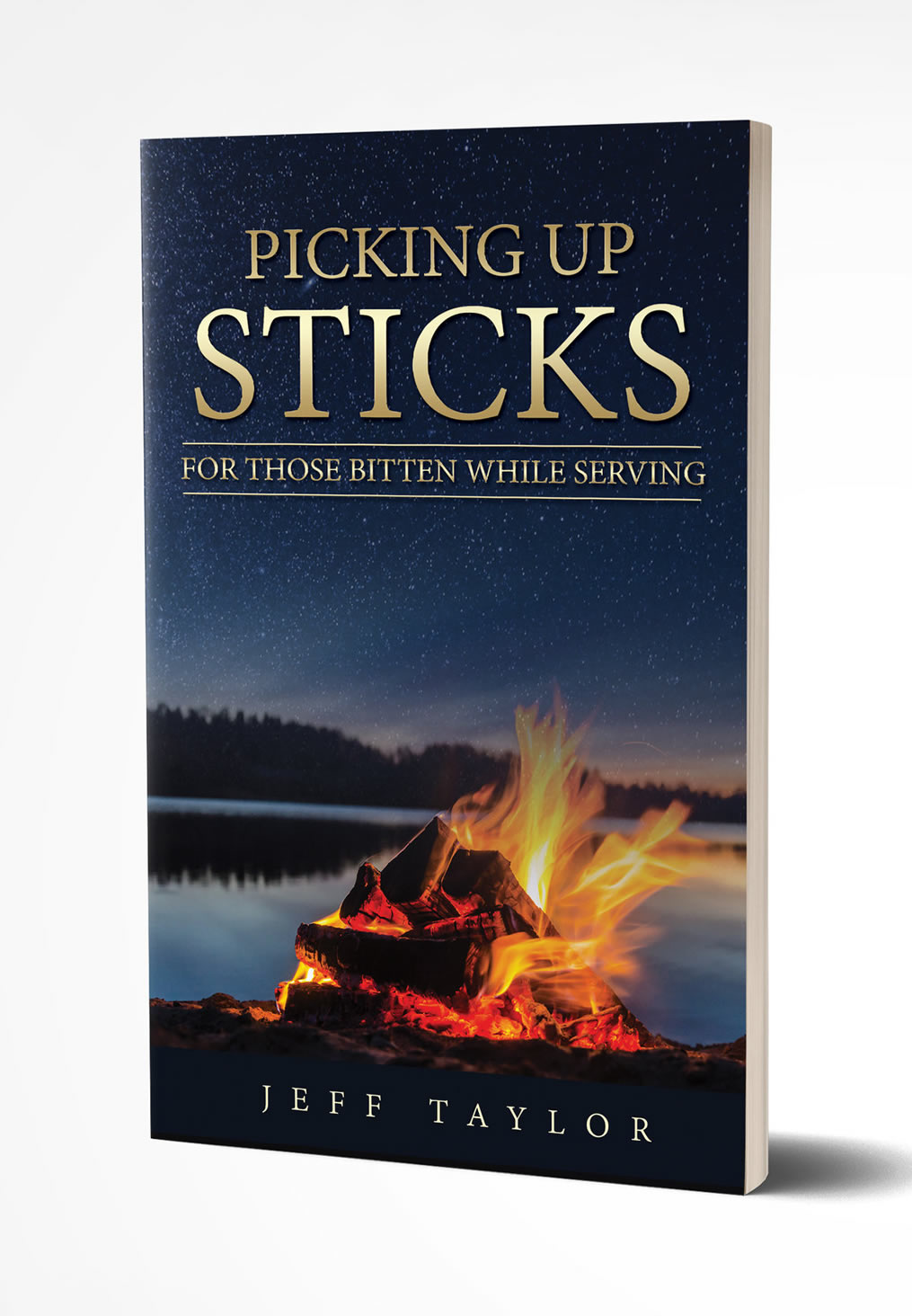 Picking Up Sticks Book Cover